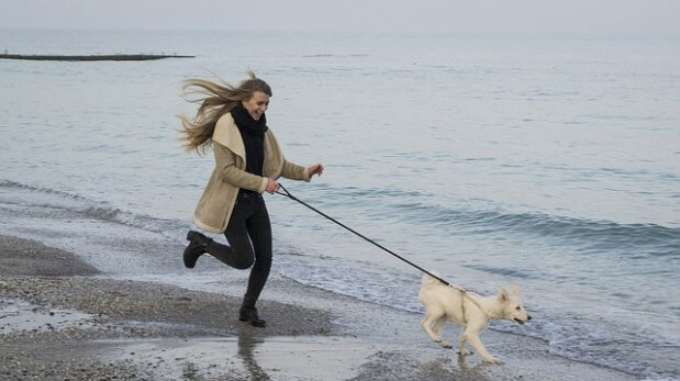 bieg-kobieta-pies-woda