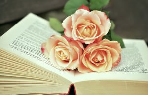 Róże leżą na książce