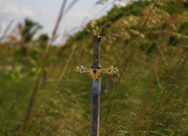 miecz wśród trawy